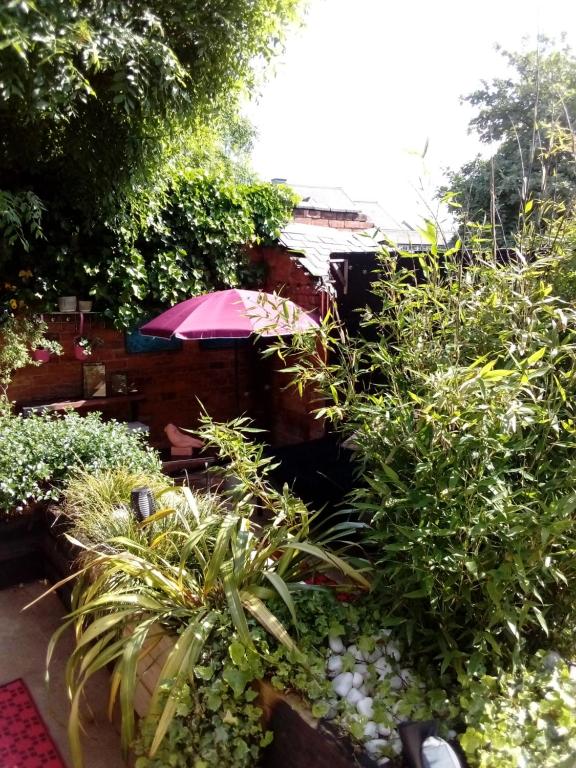 un jardin avec un parasol rose et quelques plantes dans l'établissement DERBY, à Derby