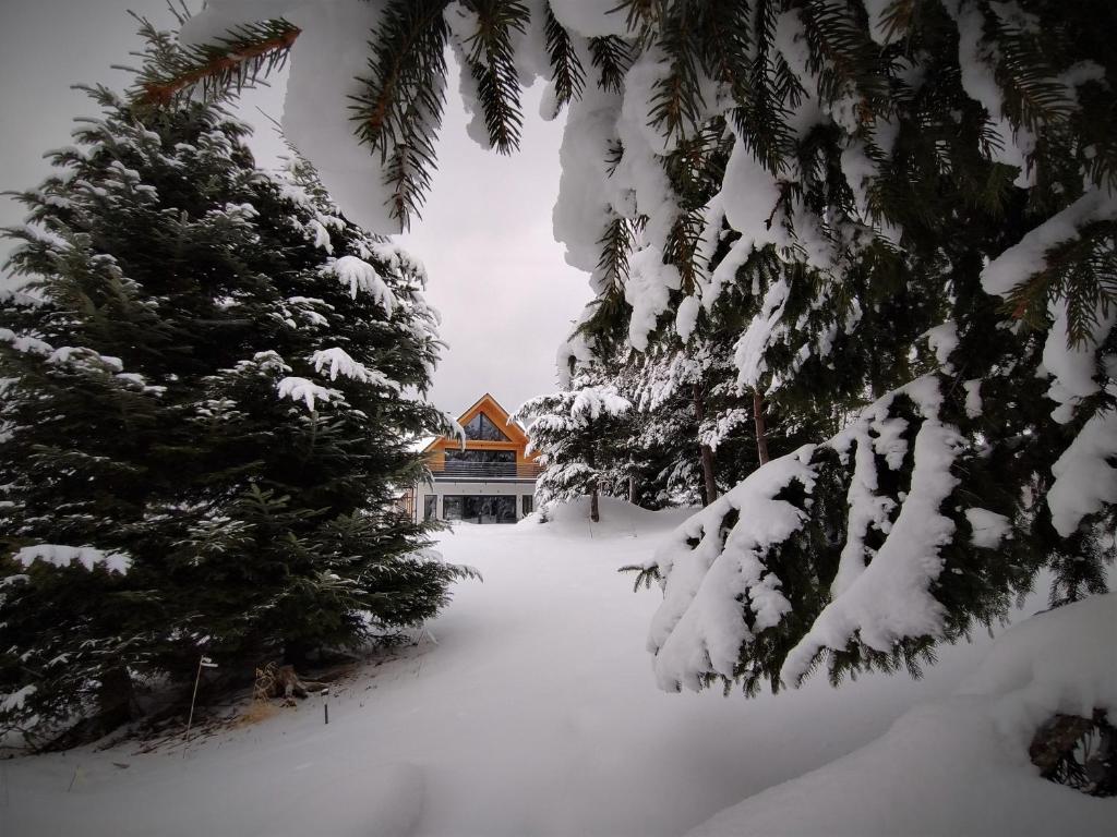 Willa 桃 MoMo Szczawnica - 16