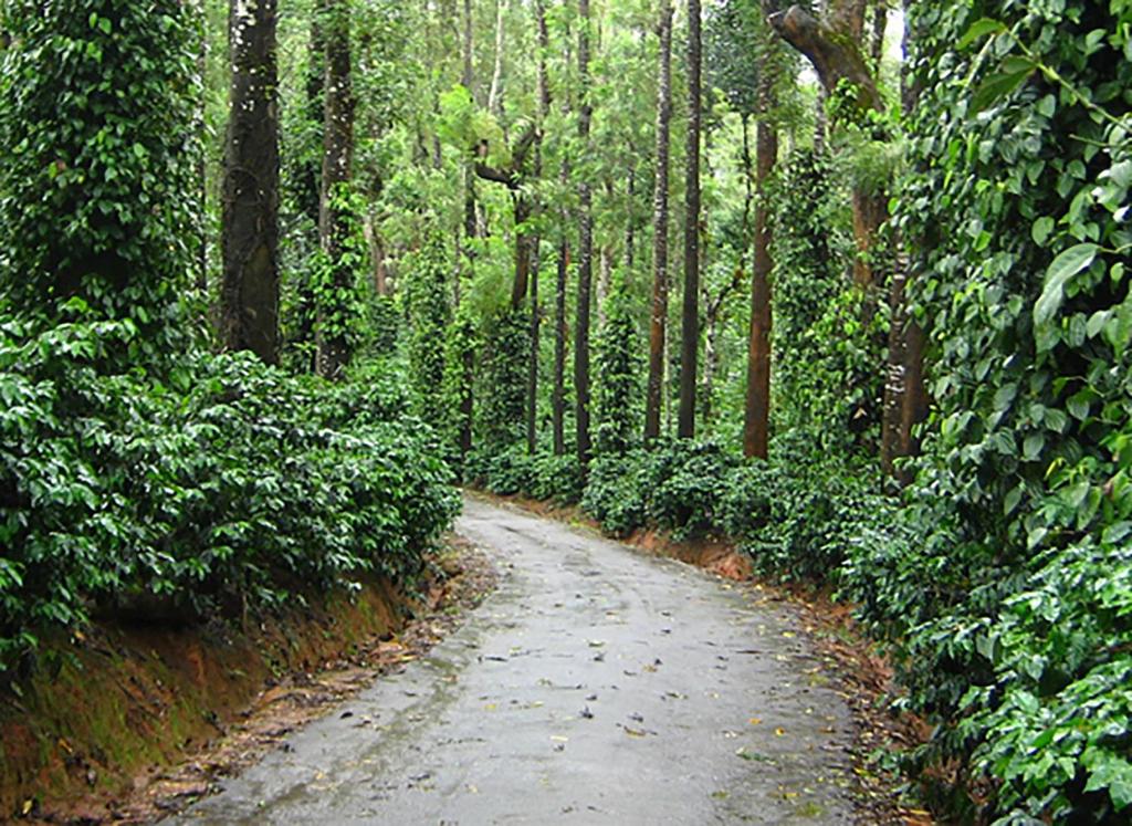 Zahrada ubytování Kandy Eco Retreat