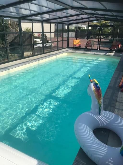 - une piscine avec un oiseau dans l'eau dans l'établissement Le Jean Bart, à Bréhal