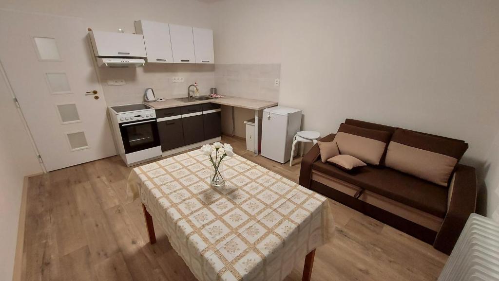 Kuchyň nebo kuchyňský kout v ubytování Apartmán Velehrad