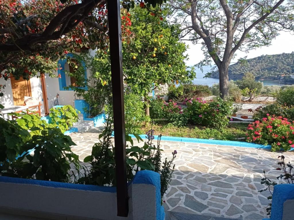 a view of a garden from the window of a house at Studios Ioanna Limnionas Samos in Ayía Kiriakí