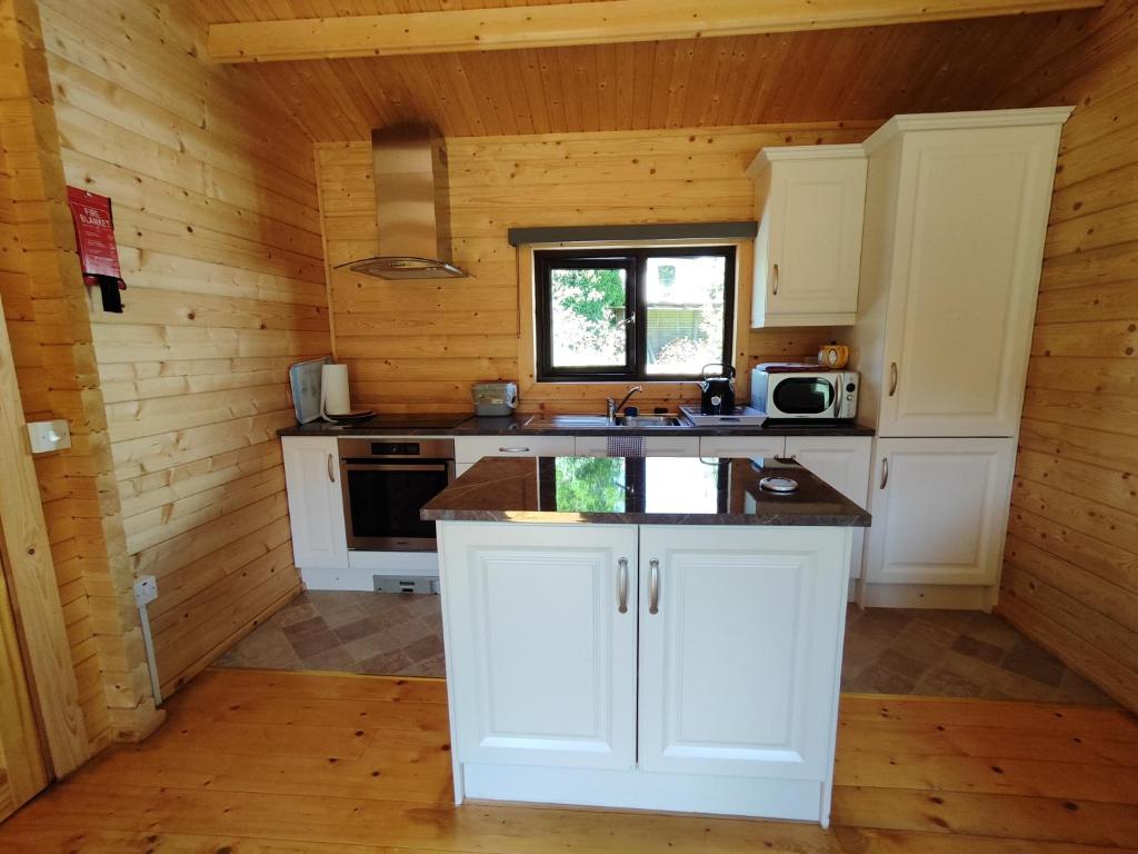 Kuchyň nebo kuchyňský kout v ubytování Desart School Garden Chalet