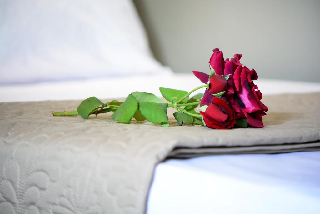 a couple of red roses sitting on top of a bed at NikoleTakis Apartments in Paralia Panteleimonos