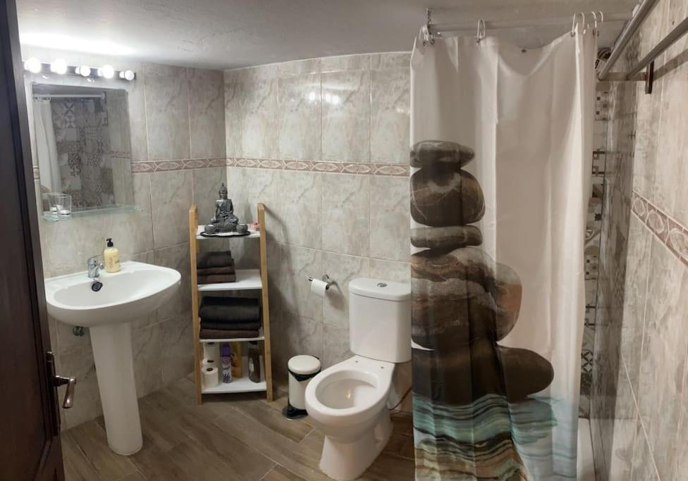 a bathroom with a toilet and a sink and a shower at Apartamento en Gran Tarajal in Gran Tarajal