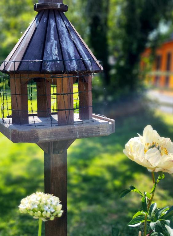 Zahrada ubytování Desart School Garden Chalet