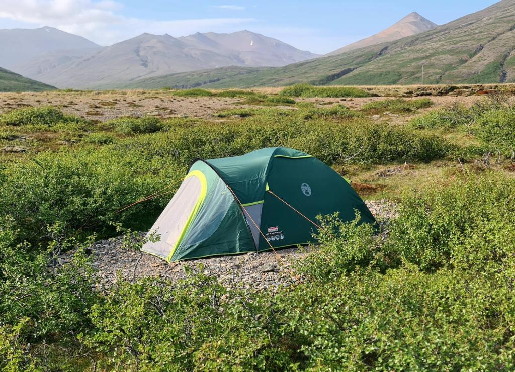 ein Zelt auf einem Feld mit Bergen im Hintergrund in der Unterkunft Stafafell Nature Park Camping in Stafafell