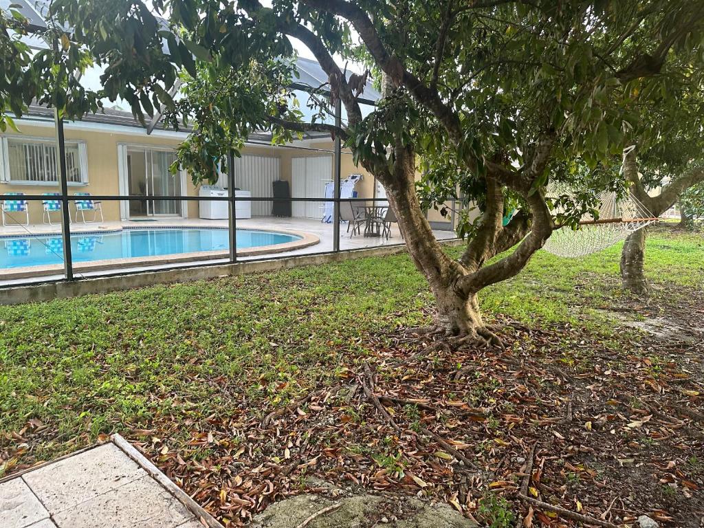 Airbnb rental,迈阿密（2026年最新房价）