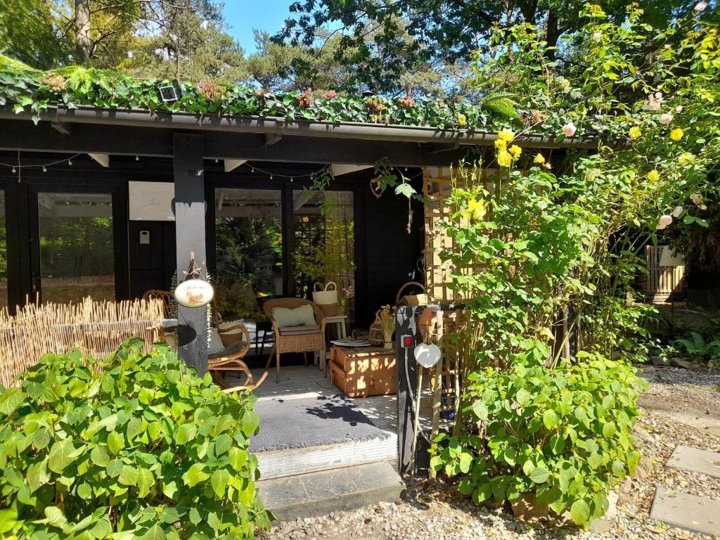 ein kleines Haus mit einer Pergola mit Blumen darauf in der Unterkunft Cozy chalet in a nature reserve with garden in Oud-Turnhout
