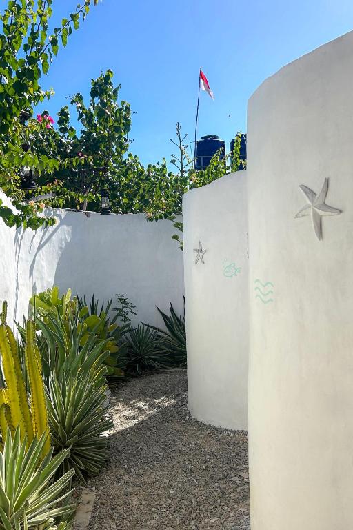 Le Pirate Island - Adults Only - 7