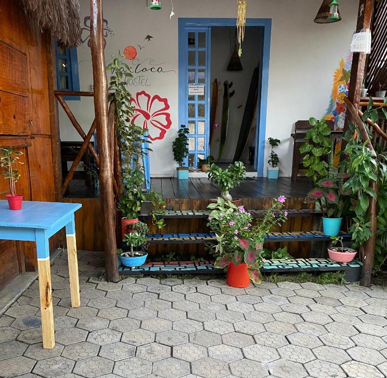 a patio with potted plants and a blue table at Aurora Hostel in Pipa