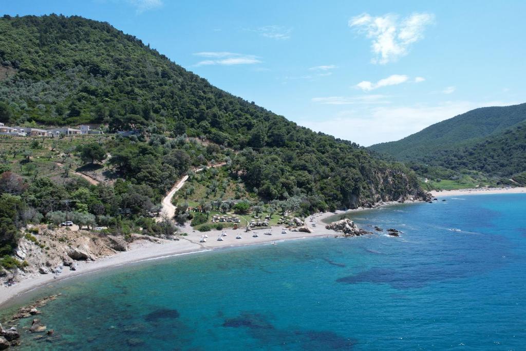an aerial view of a beach on a mountain at Kechria Bay Villas in Skiathos