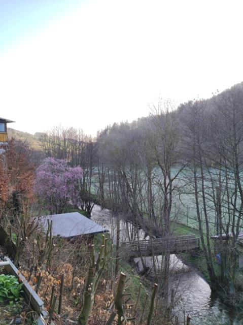 Příroda nedaleko apartmánu