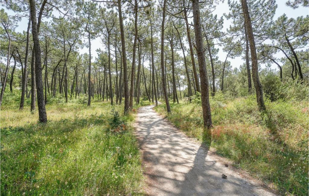 a dirt road through a forest with trees at 2 Bedroom Beautiful Home In La Faute-sur-mer in La Faute-sur-Mer