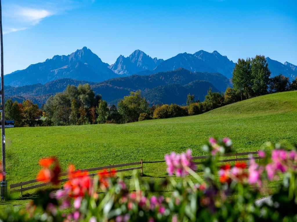 Landhaus Beim Joaser - 9