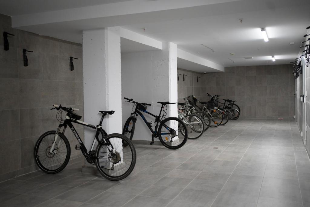 Jazda na bicykli v okolí ubytovania micampus Avenida del Puerto - Residencia de Estudiantes