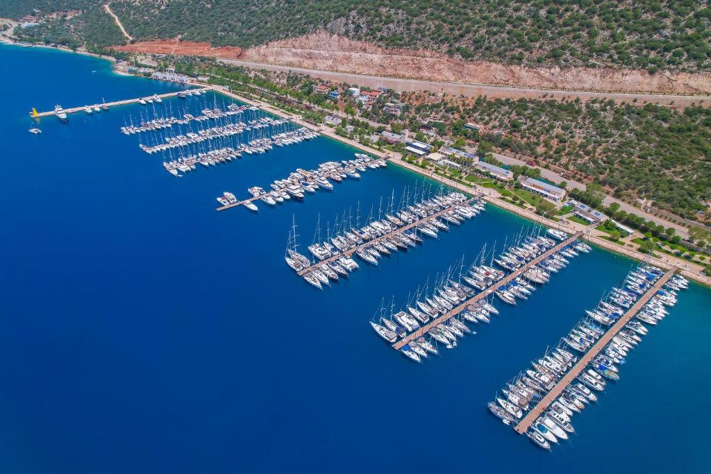 an aerial view of a marina with boats at Jasmine Otel in Kaş