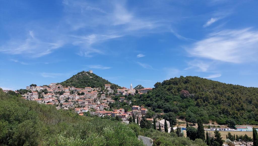 a town on top of a hill with trees at Antoni Apartment in Lastovo