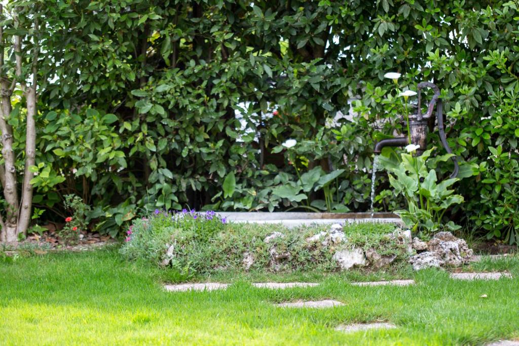 Zahrada ubytování B&B Arco Di Pietra