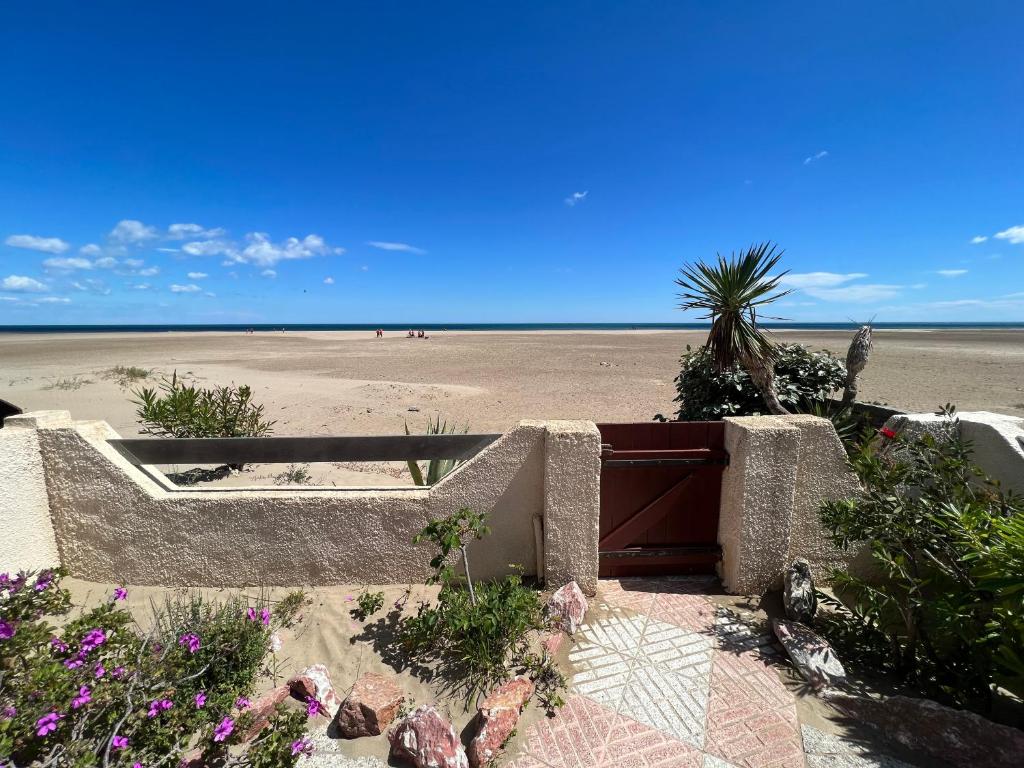 une plage avec un banc et des fleurs devant dans l'établissement Appartement Liberssan les pieds dans le sable, rez de plage, à Gruissan