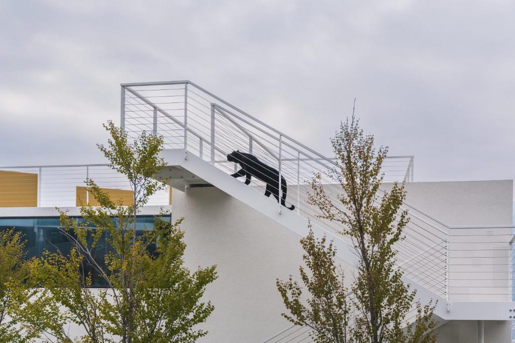 Domácí mazlíčci ubytovaní s hosty v ubytování Hotel Gartner