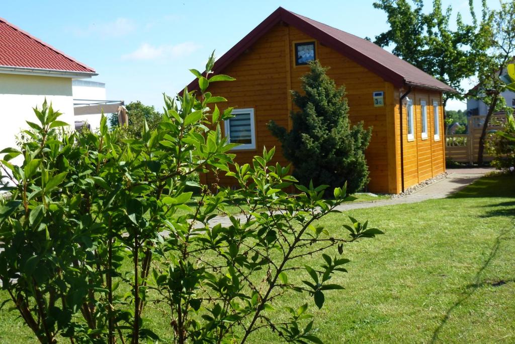 mały dom w ogródku z krzakiem w obiekcie Bungalow "Heimliche Liebe" w mieście Bansin