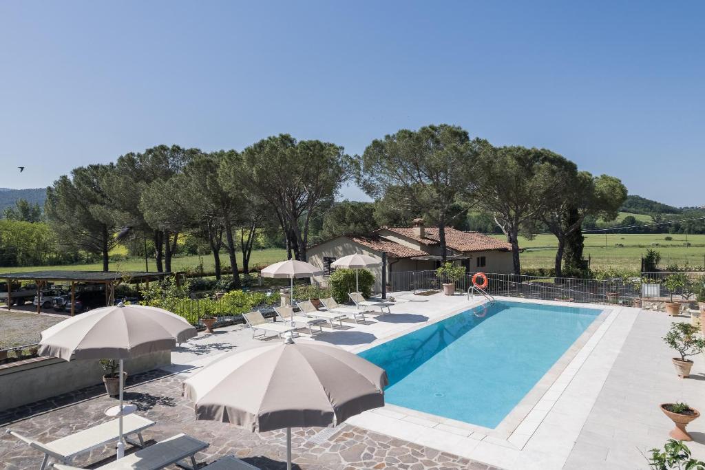 a swimming pool with umbrellas and lounge chairs at Anita in Colle di Val d'Elsa