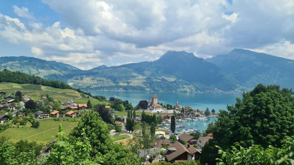een stad op een meer met bergen op de achtergrond bij Swiss Holiday Apartments in Spiez