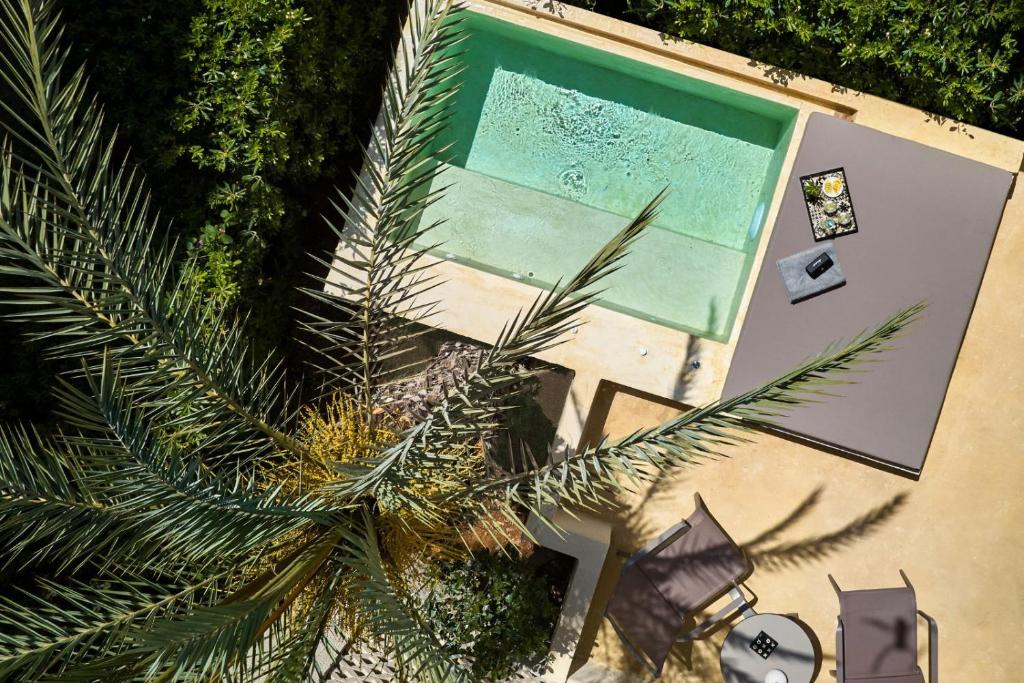 an overhead view of a swimming pool and a palm tree at Vasia Sea Retreat in Sissi