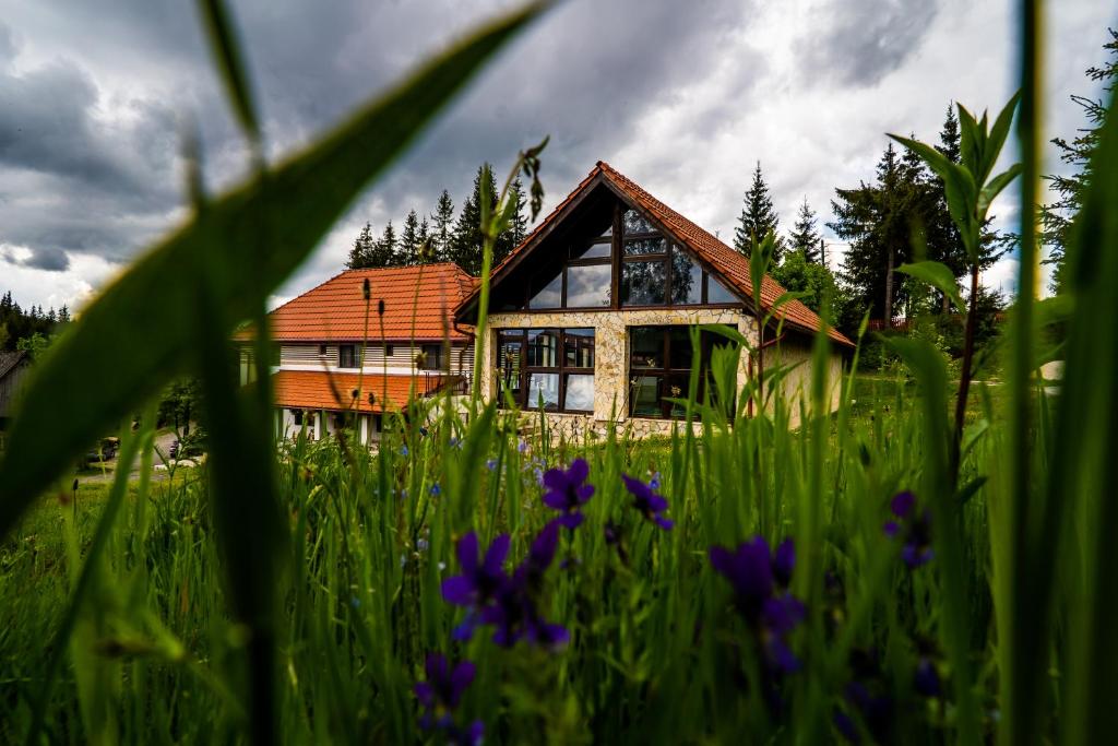 una casa en medio de un campo con flores púrpuras en Pensiunea Romconcord, en Bălceşti