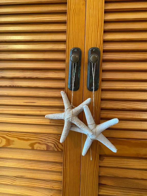 Fotografie z fotogalerie ubytování Hostal Blayet ve Valencii