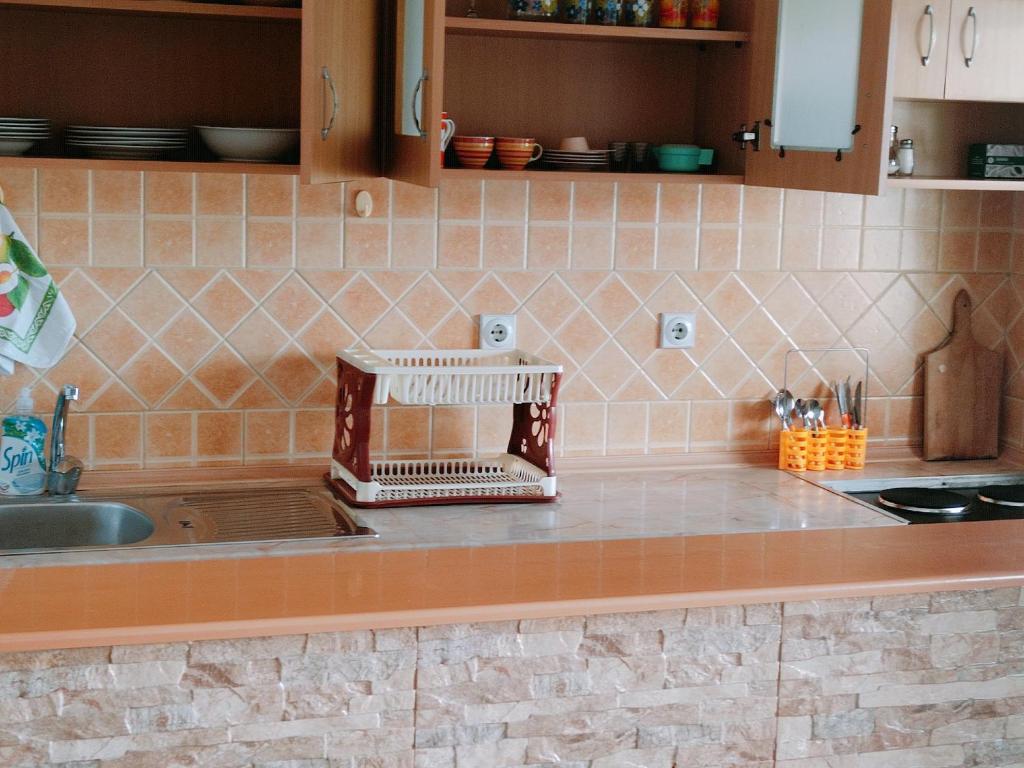 Kuchyň nebo kuchyňský kout v ubytování Apartmani LJUBICA