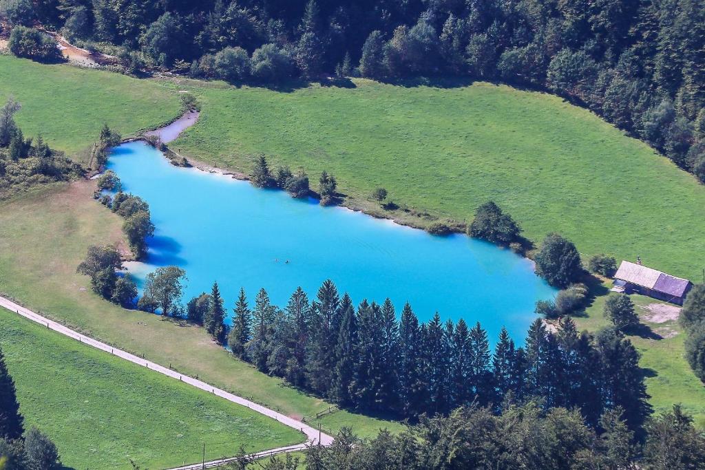 an aerial view of a blue lake in a field at Holiday House Radovna Bled in Zgornje Gorje