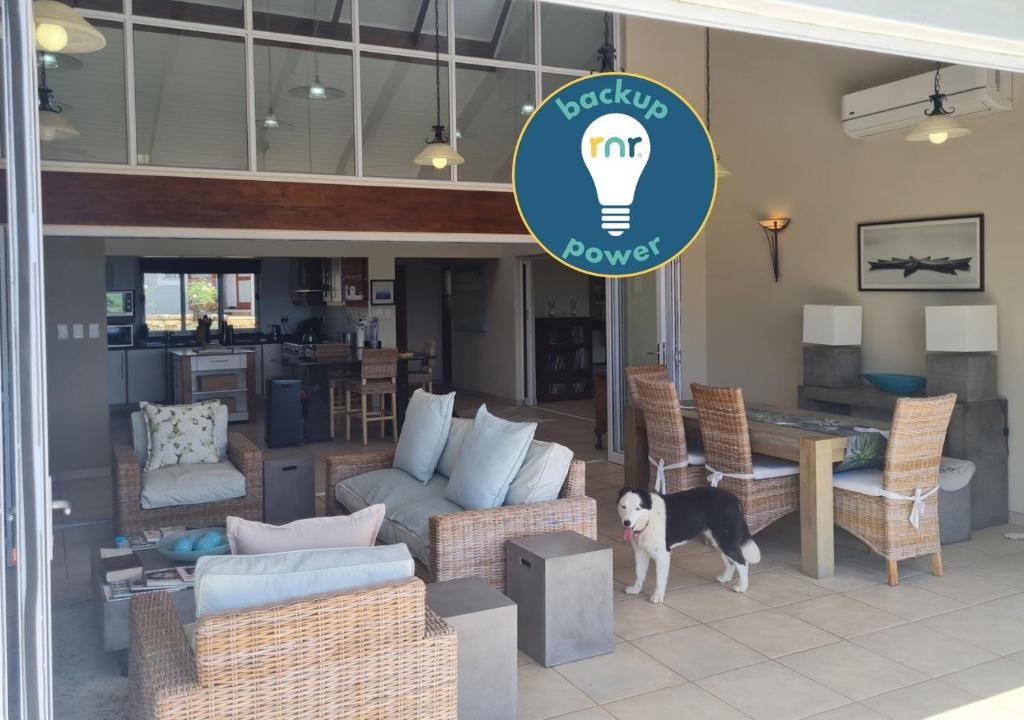 a dog standing in a living room with a light bulb at 25 Hazyview Drakensburg Mountain Views in Underberg