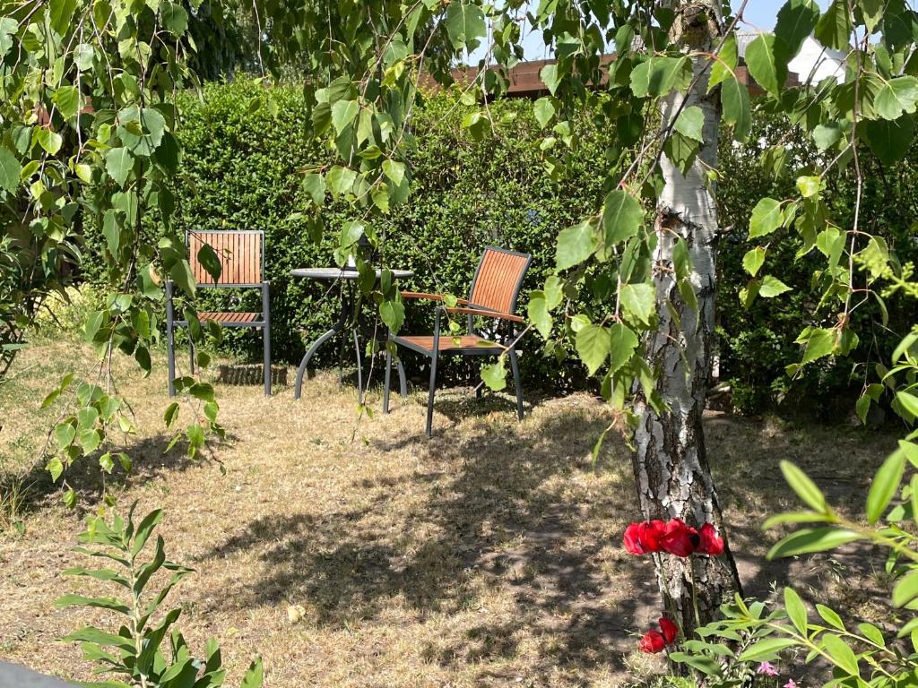 Zahrada ubytování Jonstrupvejens Apartments Lejl C