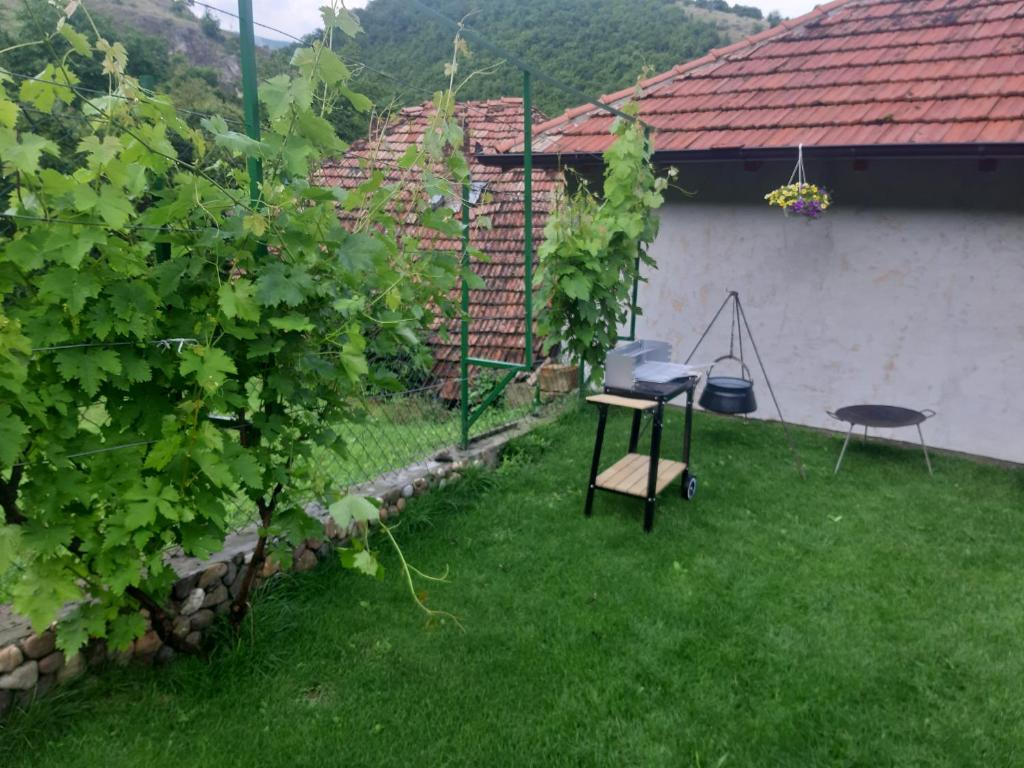 Zahrada ubytování Vila Mir