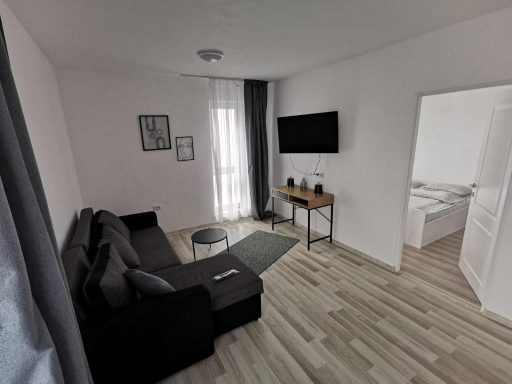 salon z kanapą i telewizorem w obiekcie New Apartament Baia Mare 20 w mieście Baia Mare