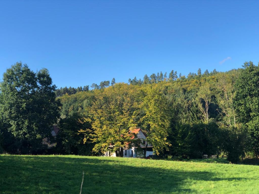 a house in the middle of a field with trees at Dom w Dolinie Zdrowia in Wleń
