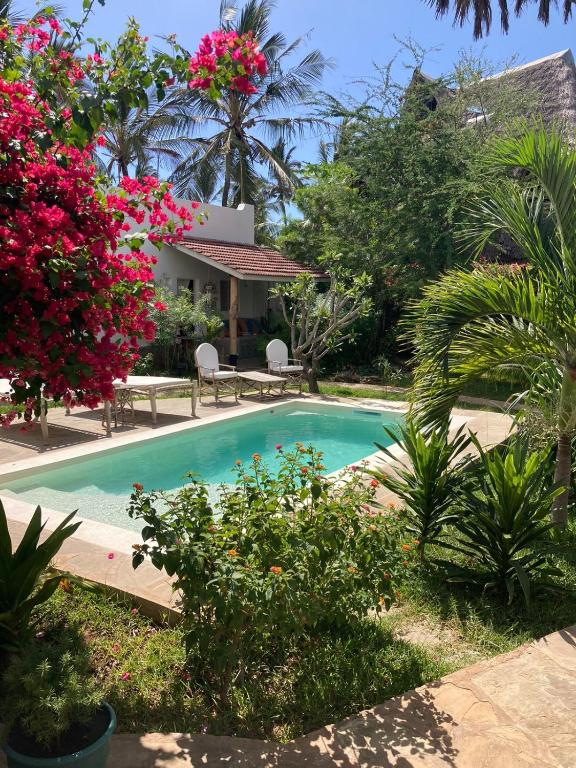 Bazén v ubytování Pucci House Watamu nebo v jeho okolí