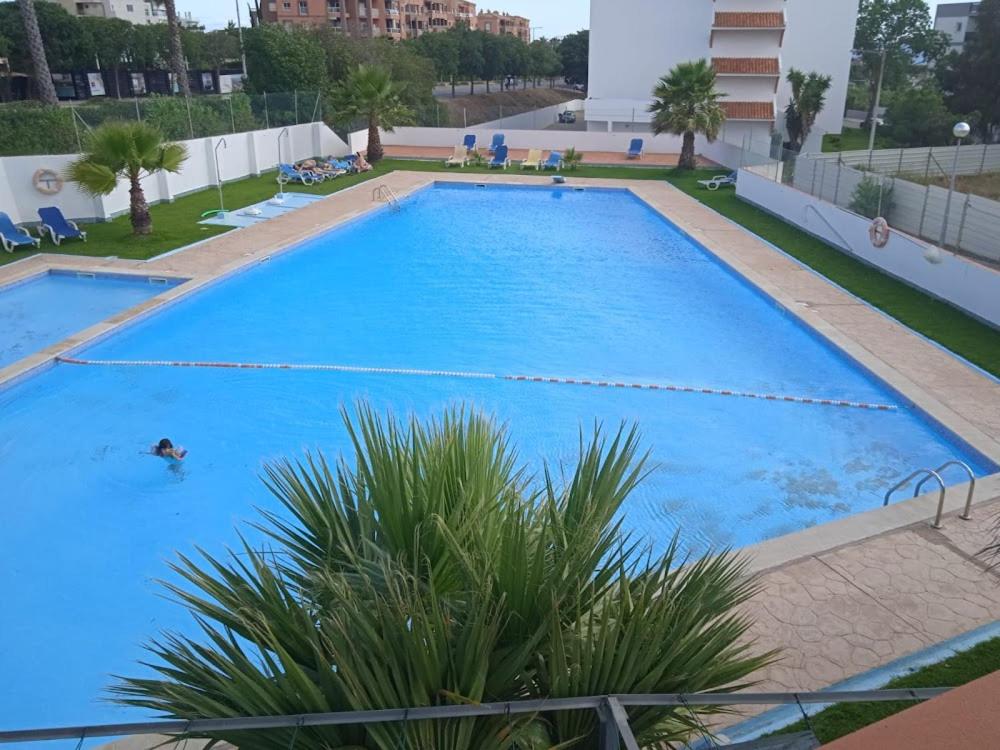 - une grande piscine bleue avec une personne dans l'établissement VAUMAR APARTMENT - SEA VIEW, à Portimão