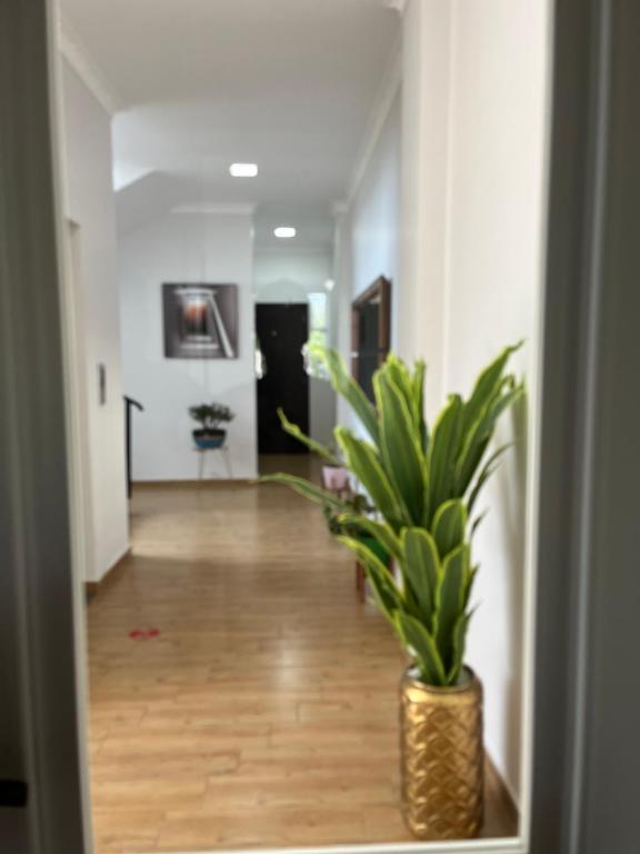 Fotografie z fotogalerie ubytování Cozy Rooms v destinaci Kobuleti