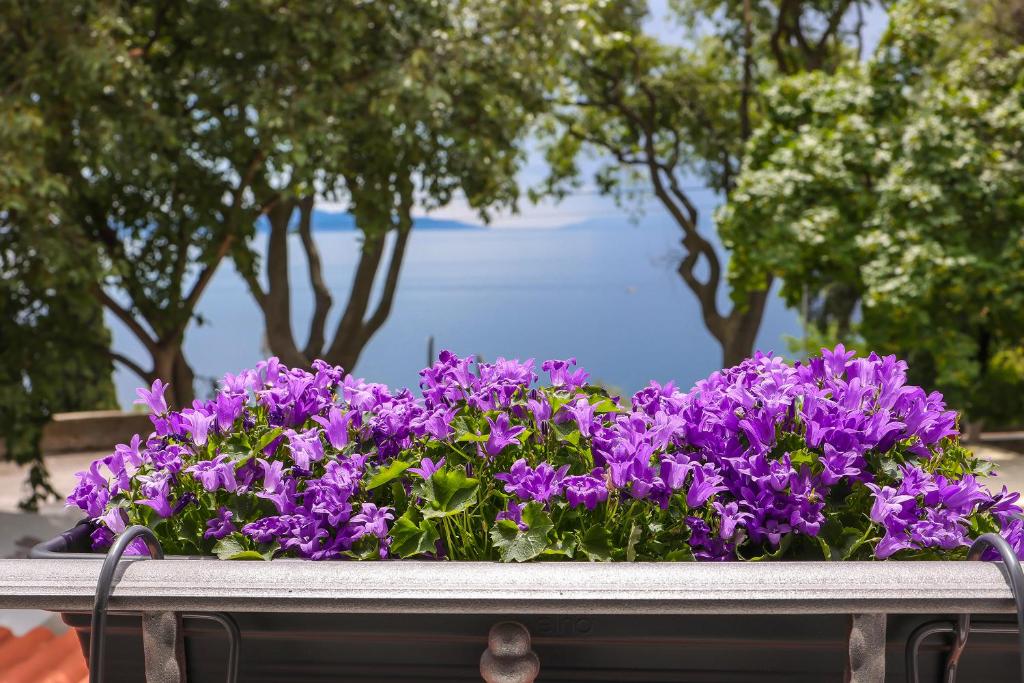 Ribica Luxury Rooms - 18