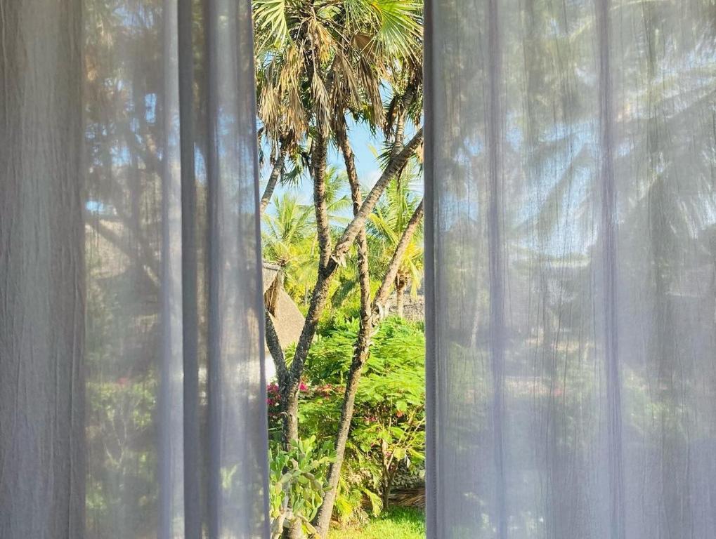 Zahrada ubytování Pucci House Watamu