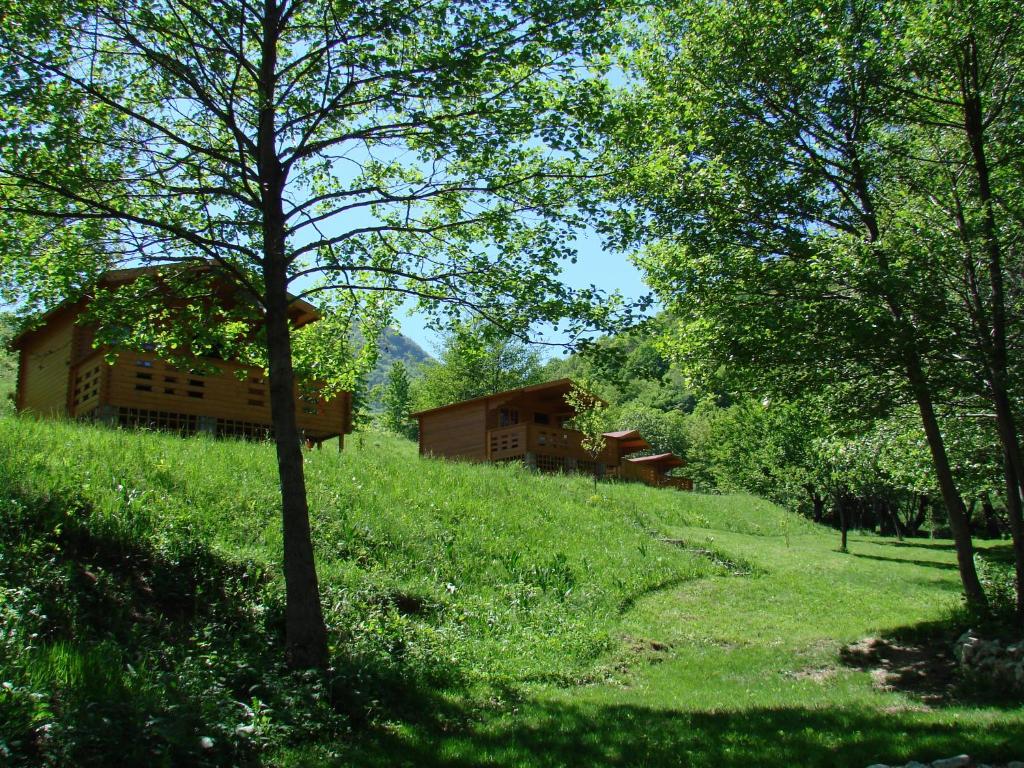 una casa en una colina con árboles y césped en Wood Cabins in the heart of Transylvania en Colţeşti