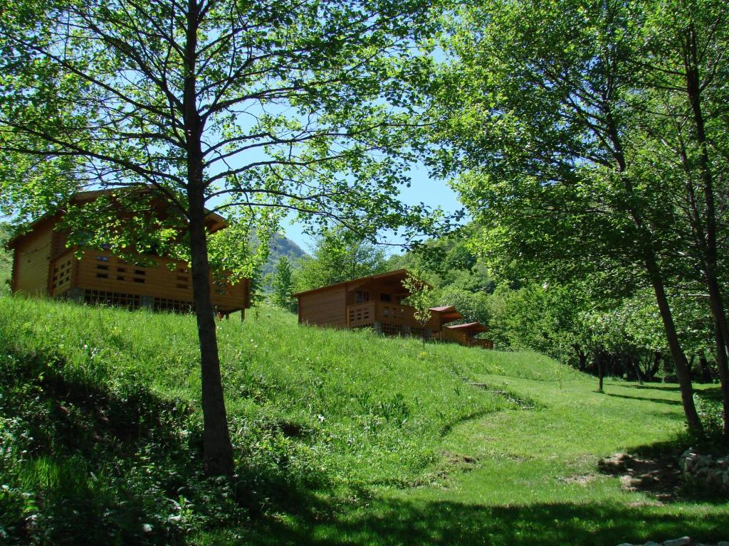 a house on a hill with trees and grass at Wood Cabins in the heart of Transylvania in Colţeşti