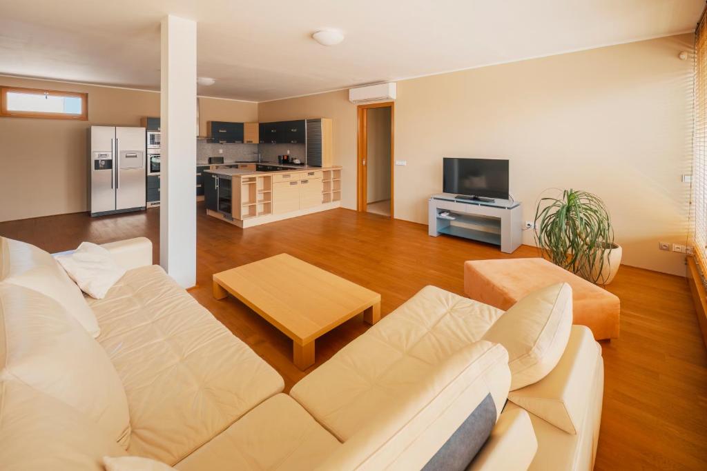 
Penthouse with Free Wellness Entrance
