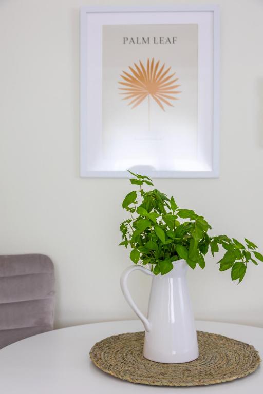 Doma Rooftop Apartment - 10