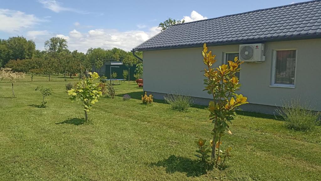 Zahrada ubytování Süni apartman