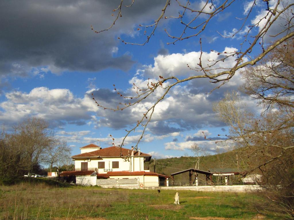 a house in a field with a cloudy sky at Kotza Ntere in Axioúpolis