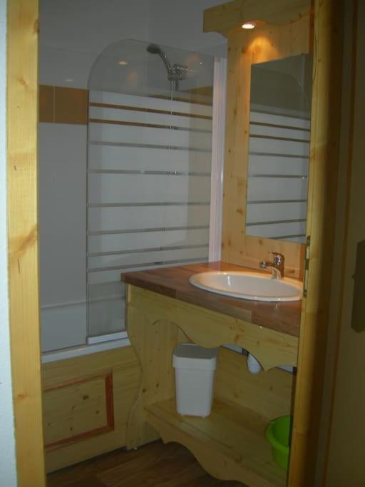 a bathroom with a sink and a mirror at CHAMROUSSE T2 Sud Ski Rando et Vtt aux pieds Les balcons du Recoin in Chamrousse